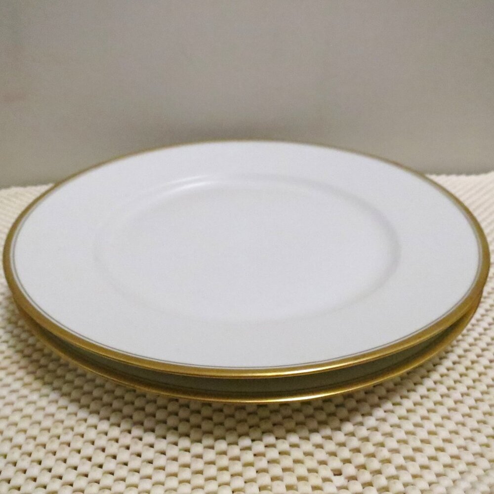 X2 Dinner Plates 9.75" Theodore Haviland Limoges White Gold Rings France
